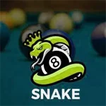 Snake 8 Ball Pool APK